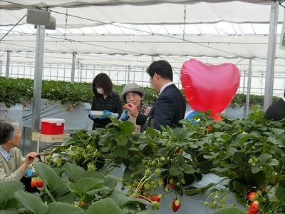 いちご狩り2