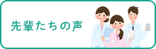 先輩たちの声